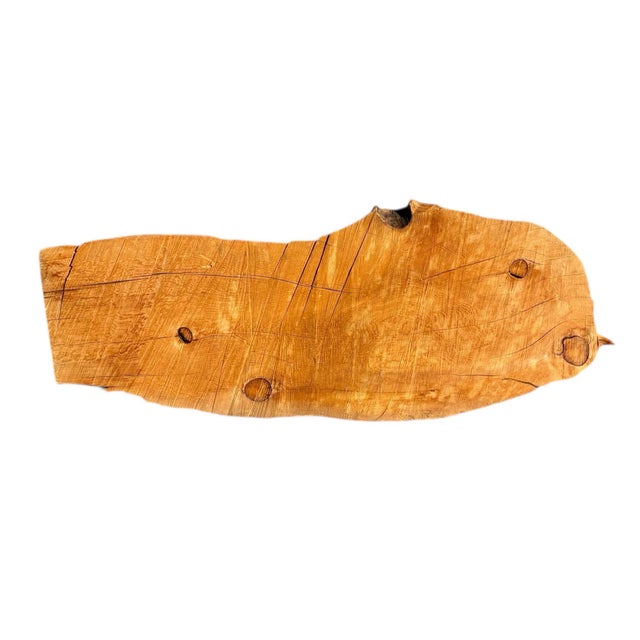 Vintage California Juniper Live Edge Slab – Organic Modern Wall Art or Display Shelf For Sale In Palm Springs - Image 6 of 9