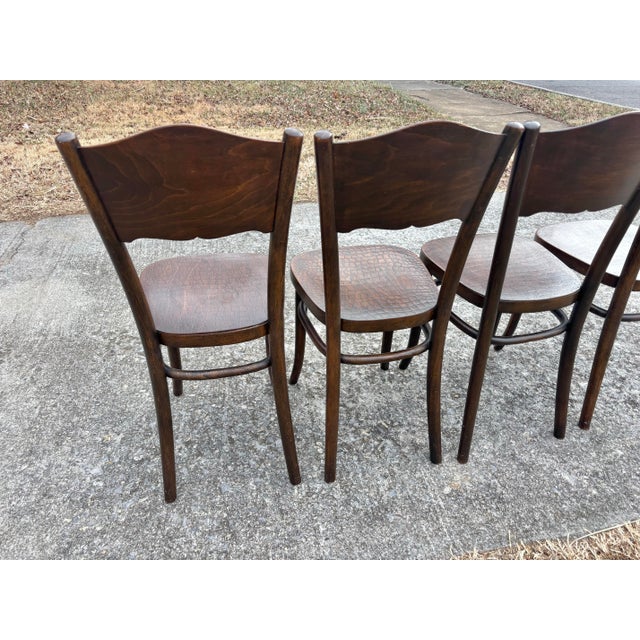 1920s Model 255 Thonet Bentwood Chairs "Crocodile" Pattern, Set of 4 For Sale - Image 11 of 13