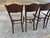 1920s Model 255 Thonet Bentwood Chairs "Crocodile" Pattern, Set of 4 For Sale - Image 11 of 13