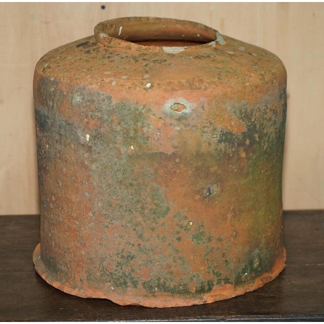 Late 19th Century Antique English Terracotta Seakal Rhubarb Forced Planter, 1880 For Sale - Image 5 of 12