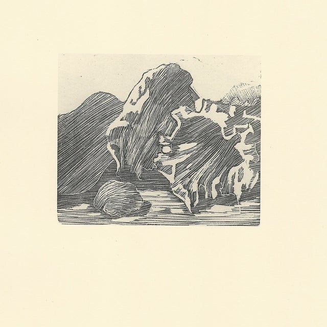 Giorgio Morandi, Shells, 1957, Lithograph For Sale