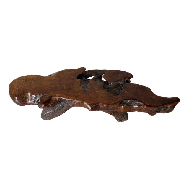 1960’s Mid-Century Hand-Carved Live Edge Redwood Burl Root Coffee Table For Sale