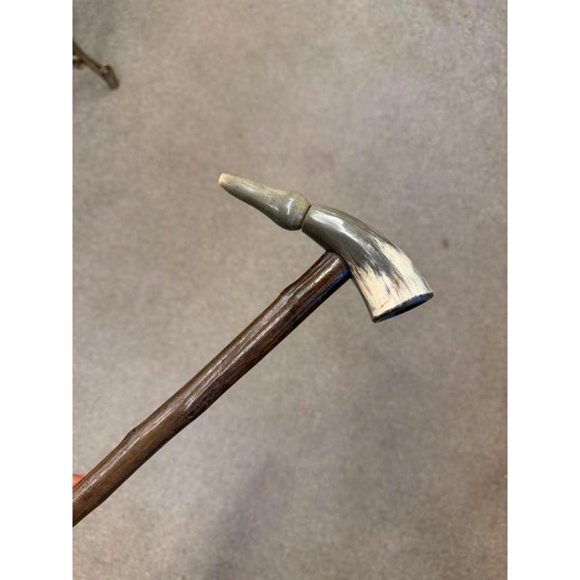 Spanish 19th Century Spanish Cane With Horn Handle, Circa 1870 For Sale - Image 3 of 8