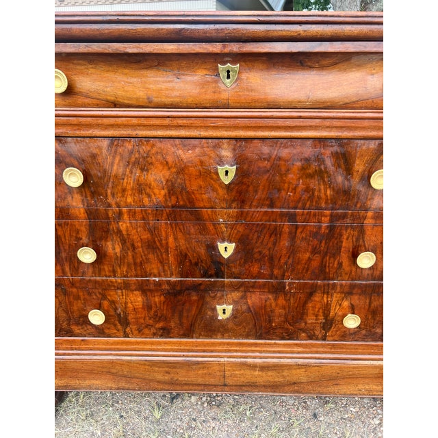 French French 19th Century Louis Philippe Walnut Chest of Drawers For Sale - Image 3 of 12