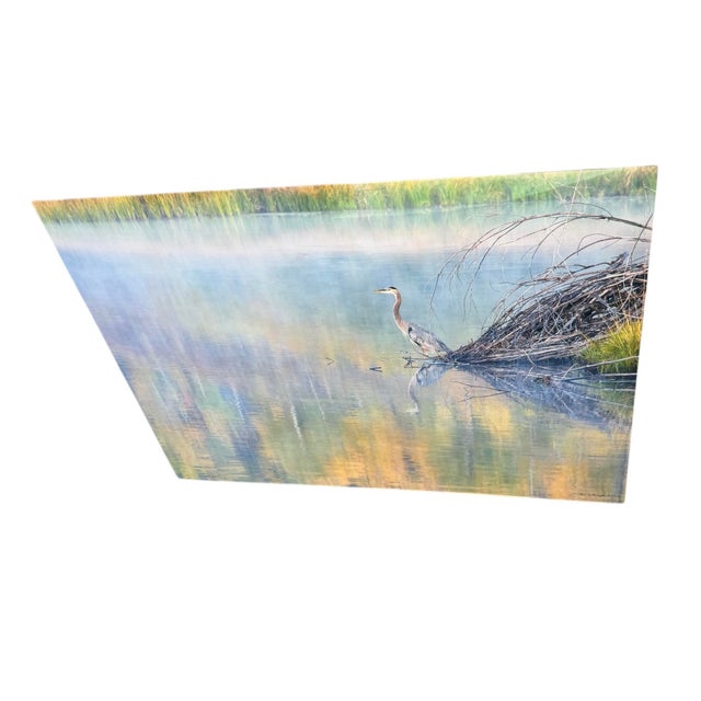 Plastic Thomas Mangelsen Morning Tranquility Fine Photography Print Mounted 45”x30”, Mounted For Sale - Image 7 of 8