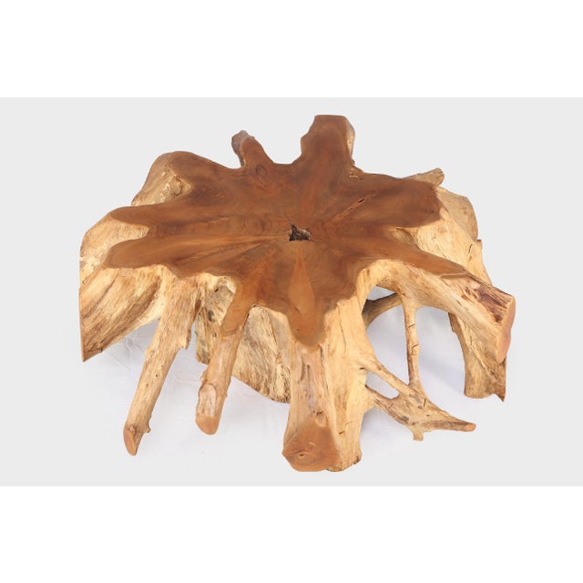 Round 36" Inch Organic Teak Root Coffee Table 27 For Sale In Greensboro - Image 6 of 6
