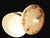 Antique Nippon Morimura 1891~1921 Button, Trinket, Porcelain Pedestal Dish. For Sale - Image 14 of 18