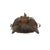 Early 20th Century Early 20th Century Toma Wood Mask Landai Guinea For Sale - Image 5 of 8
