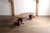 Mid-Century Modern T96 Boomerang Desk by Osvaldo Borsani for Tecno, Italy, 1956 For Sale - Image 3 of 17