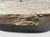 Andrianna Shamaris Sculptural Antique Bench For Sale - Image 18 of 18