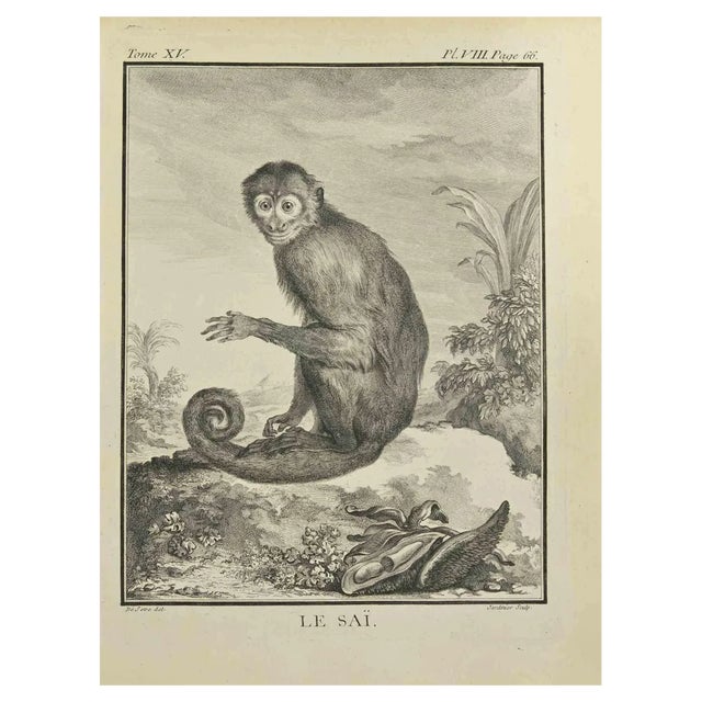 A-J De Fehrt, Le Sai, Etching, 1771 For Sale