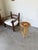 Star-Shaped Rattan Side Table, 1960s For Sale - Image 4 of 18