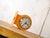 Orange Double-Sided Slave Clock from Citizen, 1980s For Sale - Image 13 of 14