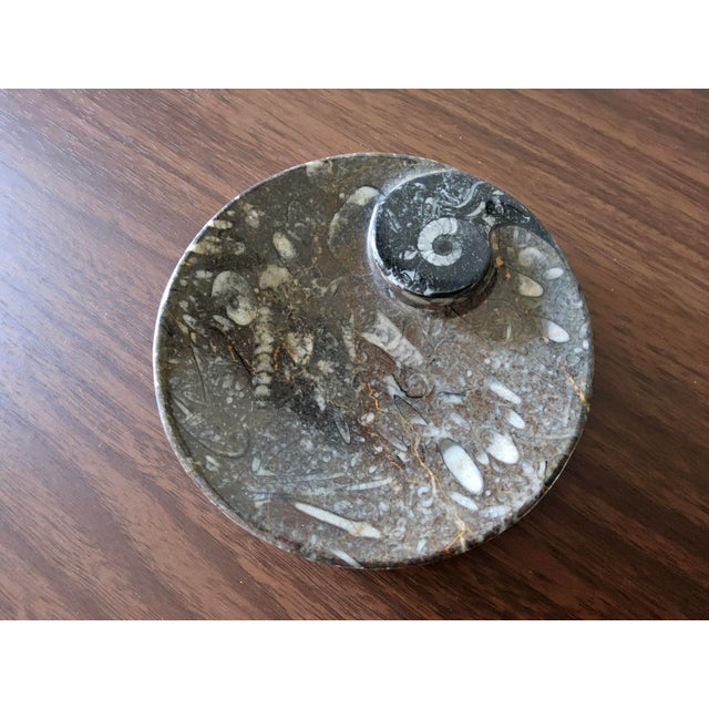 African Vintage Fossil/Stone Dish For Sale - Image 3 of 5