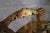 Set 4 Antique Fantastic Louis XV Style Needle Point Side Chairs For Sale - Image 10 of 16