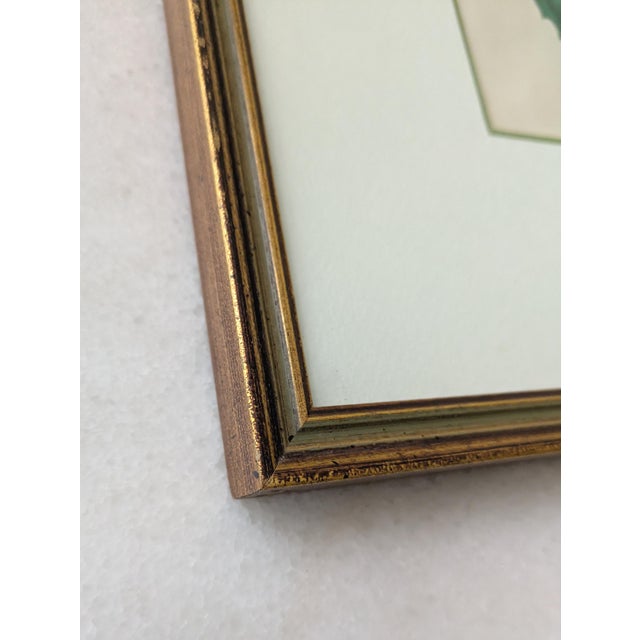 Late 20th Century 19th C Reproduction Botanical Engraving Framed For Sale - Image 5 of 8
