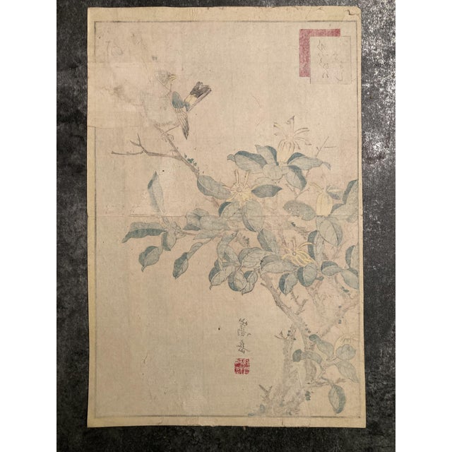 Nakayama Sūgakudō, Verdier Et Gardénia, 1859, Woodblock Print For Sale - Image 7 of 13