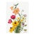 Vintage Wildflowers Study, Botanical Art Print Reproduction, 24" X 36" For Sale