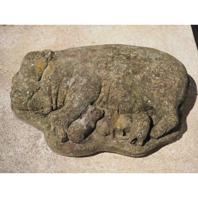 Weathered Cast Stone Pig and Piglets From England, 20th C. For Sale - Image 4 of 13