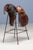 1970s Saddle Style Leather and Metal Bar Stools, Late 20th Century, Set of 2 For Sale - Image 5 of 11