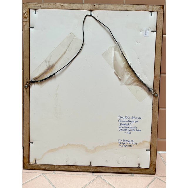 Framed “Parakeets” Bird Lithographs - a Pair by John Cassell For Sale - Image 10 of 12