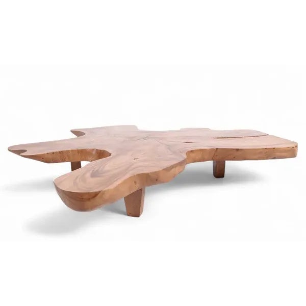 2020s Brown Free Form Living Edge One Slab Coffee Table For Sale - Image 5 of 9