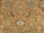 Antique Persian Sultanabad Carpet, Handmade Oriental Rug, Brown, Peach Soft Blue For Sale - Image 14 of 17