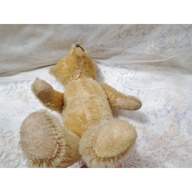 Antique Steiff 1908 Teddy Bear 11" Yellow Mohair Fully Jointed With Glass Eyes Attributed For Sale In Columbia, SC - Image 6 of 8