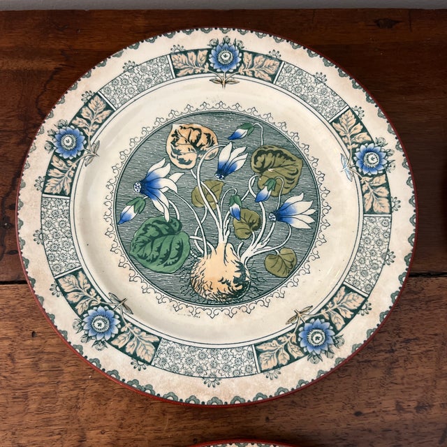 Wedgwood Antique 1800s English Wedgwood Cyclamen Plates - Set of 4 For Sale - Image 4 of 6