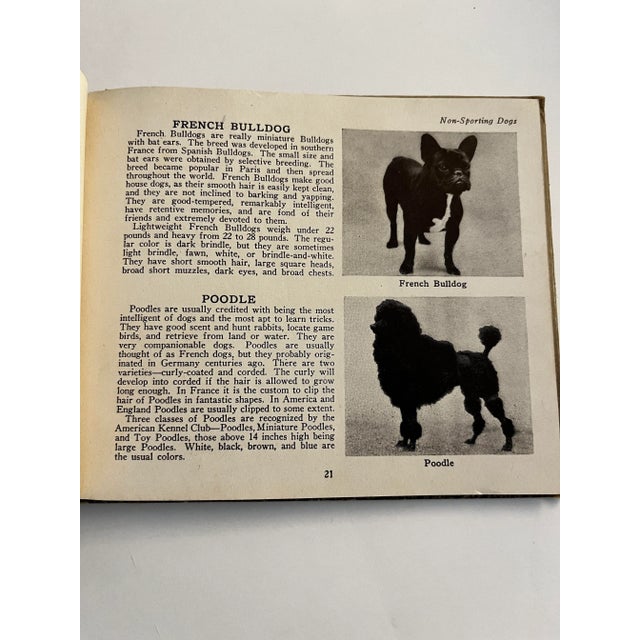 1934 the Book of Dogs For Sale - Image 11 of 12