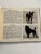 1934 the Book of Dogs For Sale - Image 11 of 12