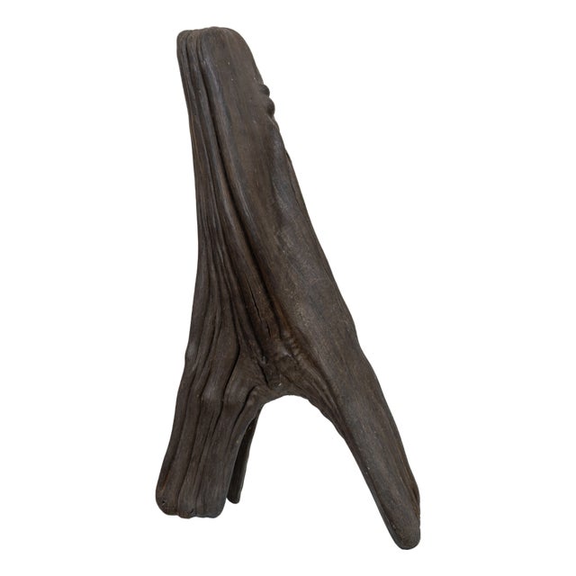 Roland Berger, Rooted Flow, Driftwood For Sale
