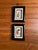 Pair of Vintage Framed Sea Shells For Sale - Image 4 of 8