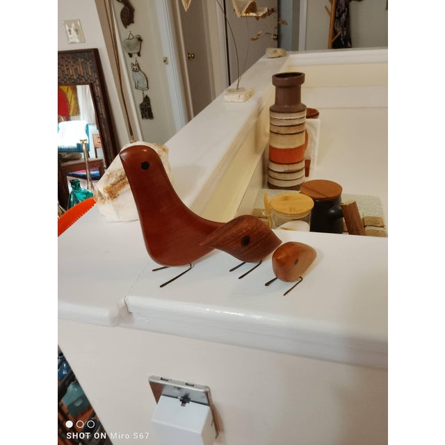 Jacob Hermann Birds by the Actual Artist For Sale - Image 16 of 17