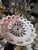 Metal Antique Cased Pink Cut to White and Clear Glass and Bronze Chandelier For Sale - Image 7 of 12