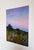 Contemporary Scenic Painting by Ekaterina Popova Titled Wildflower Dusk For Sale - Image 3 of 7