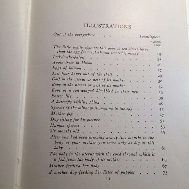 'Growing Up' Vintage Book For Sale In New York - Image 6 of 11