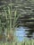 Traditional Reflective Marsh Landscape by Cynthia Geyer For Sale - Image 3 of 4