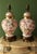 Schumann Arzberg Bavaria Briar Rose Porcelain Table Lamps For Sale - Image 4 of 13