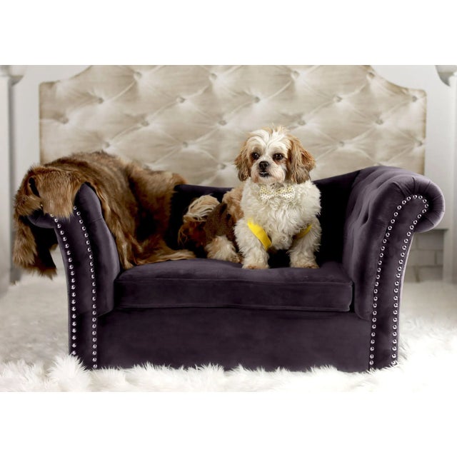 Gray Dachshund Grey Pet Bed For Sale - Image 8 of 9