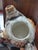 Mid-Century Japanese Ceramic Tabby Cat Figural Teapot For Sale - Image 9 of 9
