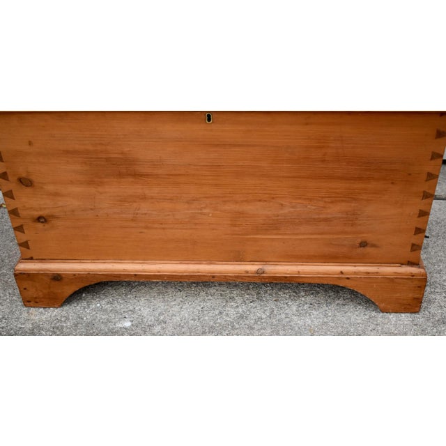 Brown Vintage Doveatiled Pine Trunk Farmhouse Stye Blanket Chest Storage For Sale - Image 8 of 15
