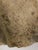 Victorian Gothic Revival Limestone Corbels, Tetramorph Lion & Ox, Harrogate, 1870, Set of 2 For Sale - Image 15 of 17