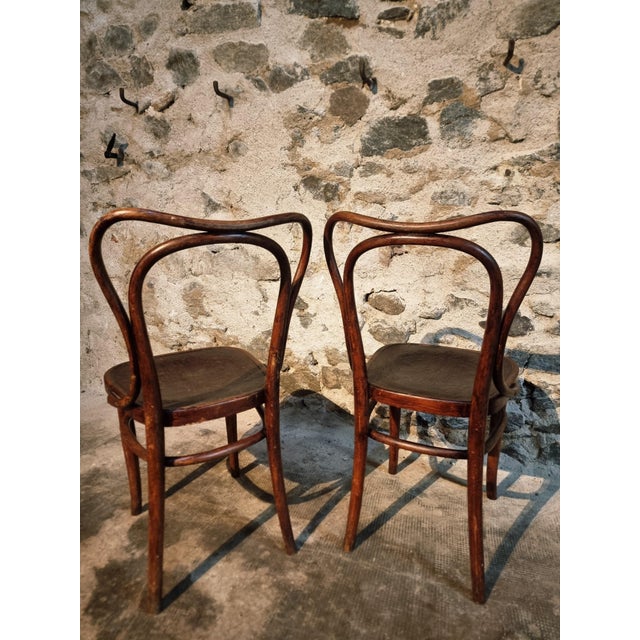 Bentwood Café Chairs from Jacob & Josef Kohn, Vienna, Austria, 1900s, Set of 2 For Sale - Image 14 of 15