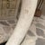 Hollywood Regency Faux Tusk Sculpture Marquis Collection of Beverly Hills For Sale - Image 12 of 16