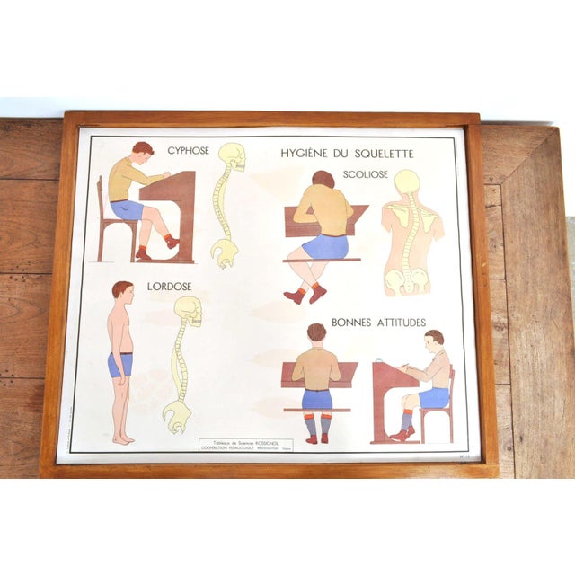 Vintage Double Sided School Posters in Frame of the Human Body, 1950s For Sale - Image 12 of 18