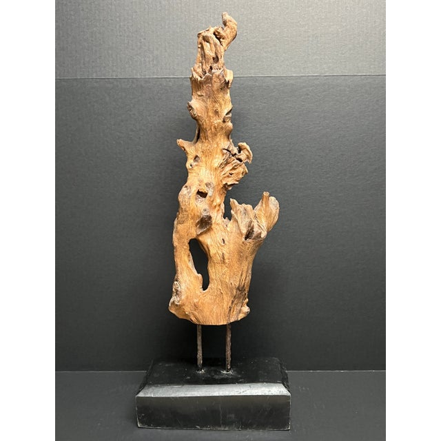 Vintage Natural Abstract Driftwood Art Sculpture on Wooden Base For Sale - Image 10 of 12