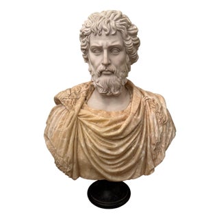 Bust of Roman Emperor Septimius Severus on Black Marble Base. Italy 20th Century For Sale