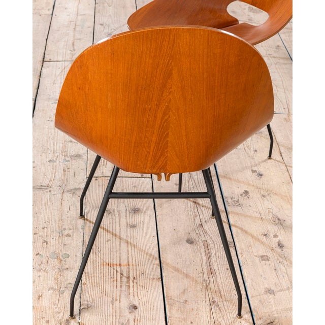 Wooden Chairs attributed to Carlo Ratti, 1950s, Set of 4 For Sale - Image 4 of 7