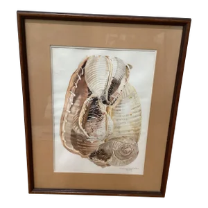 Circa 1979 Eleanor Gustafson Original Watercolor Painting Still Life of Sea Shells